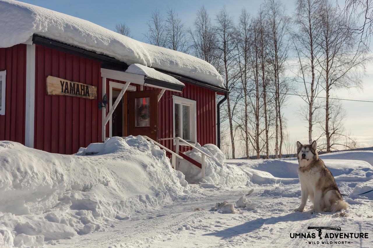 Umnas Adventure Hotel Storuman Exteriér fotografie